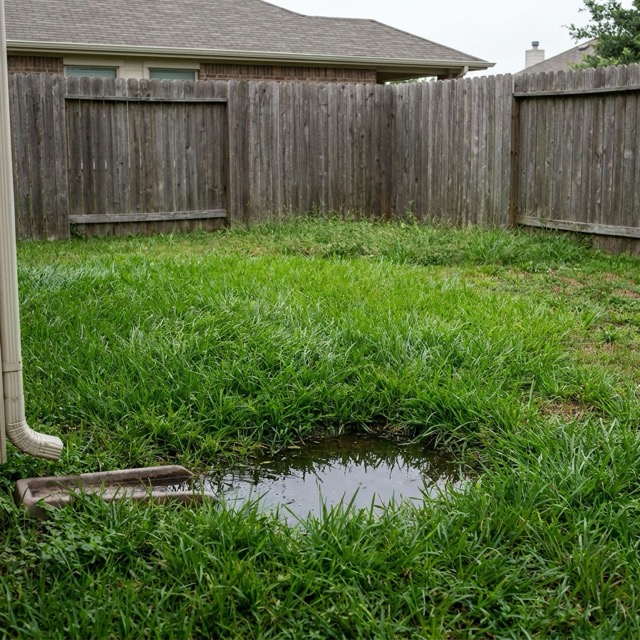 signs of septic system failure Delaware - warning symptoms to watch for